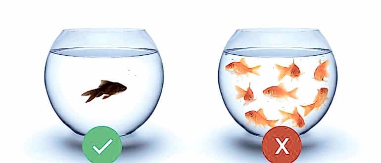 Su Yalıtımında Doğru Bilinen Yanlışlar